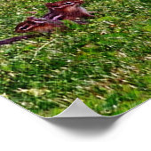 ベビーチップマンクスコラージュ1動物鉛筆アートポスター ポスター (角)