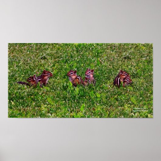 ベビーチップマンクスコラージュ1動物鉛筆アートポスター ポスター (正面)