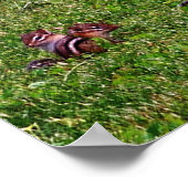 ベビーチップマンクスコラージュ2動物鉛筆アートポスター ポスター (角)