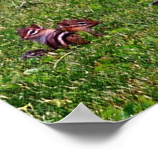 ベビーチップマンクスコラージュ2動物鉛筆アートポスター ポスター (角)