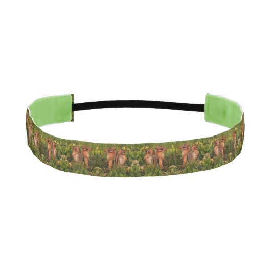 ベビーチップムンクス動物アート アスレチックヘッドバンド (正面)