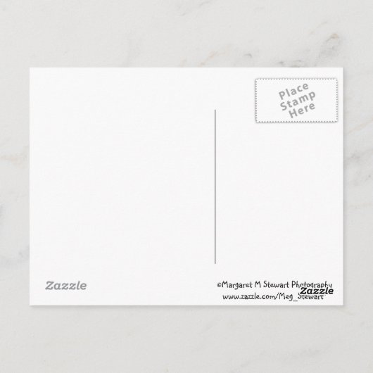 ベビーチップムンクフレンドシップ引用文はがき ポストカード (裏面)