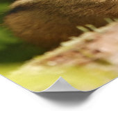 ベビーチップムンク兄弟姉妹 ポスター (角)