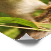 ベビーチップムントリー引用文 ポスター (角)