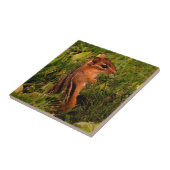 ベビーチプムンクアニマルアート タイル (側面)