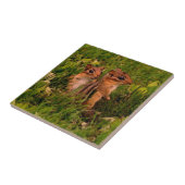 ベビーチプムンクス動物芸術 タイル (側面)