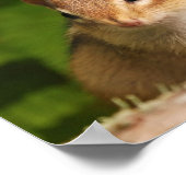 ベビーチプムンクフレンズ引用文ポスター ポスター (角)