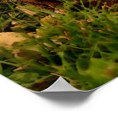 ベビーチプムンクワイルドライフアニマルアート ポスター (角)