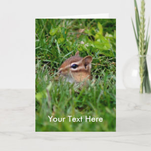 ベビーチプムンク動物写真カード カード