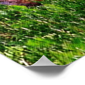 ベビーチムンクス初日#1動物ポスター ポスター (角)