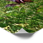 ベビーチムンクス初日#3動物ポスター ポスター (角)