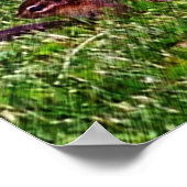 ベビーチムンクス初日#4動物ポスター ポスター (角)