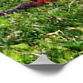 ベビーチムンクス初日#5動物 ポスター (角)