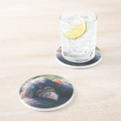 ベビーチンパンジーの旅 コースター (側面)