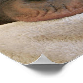 ベビーチンプラスタープリント ポスター (角)