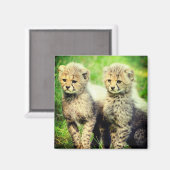 ベビーチーズ マグネット (正面/裏面)