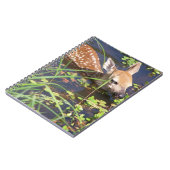 ベビーディアノート ノートブック (左側)