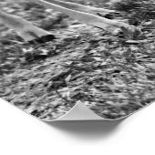 ベビーディアファウンズグラージフォトアートプリント ポスター (角)