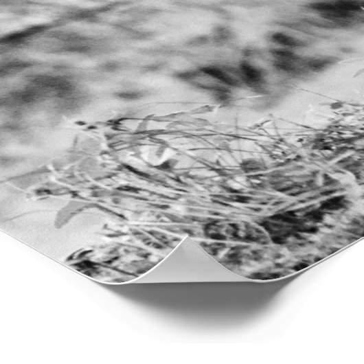 ベビーディアファウンフォトグラートアートプリント ポスター (角)