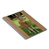 ベビーディアーノート ノートブック (右側)