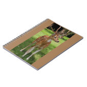 ベビーディアーノート ノートブック (左側)