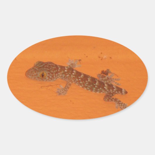 ベビートカイゲッコ 楕円形シール (正面)