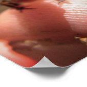 ベビートッド ポスター (角)