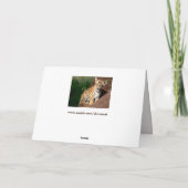 ベビートラのグリーティングカード カード (裏面)