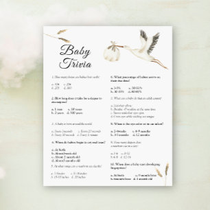 ベビートリビア – Stork Baby Shower Game