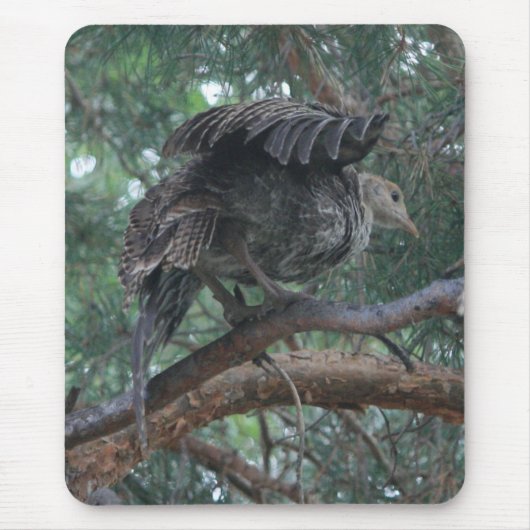 ベビートルコマウスパッド マウスパッド (正面)