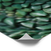 ベビードラゴンファンタジーアート ポスター (角)