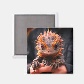 ベビードラゴン マグネット (正面/裏面)