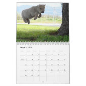 ベビードールのSouthdownヒツジ2014 NABSSARのカレンダー カレンダー (3月 2026)