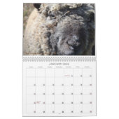 ベビードールのSouthdownヒツジ2017 NABSSARのカレンダー カレンダー (1月 2026)