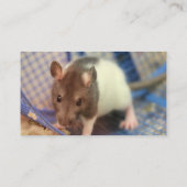 ベビーネズミ 名刺 (裏面)