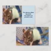 ベビーネズミ 名刺 (正面/裏面)