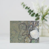 ベビーノーザンウォータースネーク（ネロディアシペドン）アイテム ポストカード (スタンド正面)