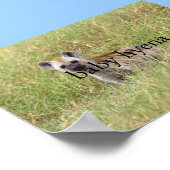 ベビーハイエナ ポスター (角)