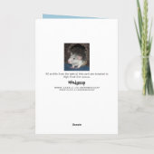 ベビーハスキーダンボラット誕生日カード カード (裏面)