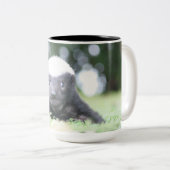 ベビーハチミアナグマのグリーングラス写真 ツートーンマグカップ (正面右)