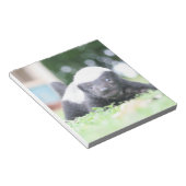 ベビーハチミアナグマのグリーングラス写真 ノートパッド (アングル)