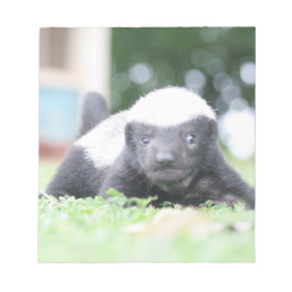 ベビーハチミアナグマのグリーングラス写真 ノートパッド