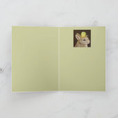 ベビーハットカード付きブリュッセル カード (内部)