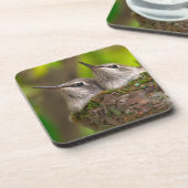 ベビーハミングバード コースター (左側)