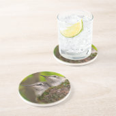 ベビーハミングバード コースター (側面)