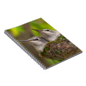 ベビーハミングバード ノートブック (右側)