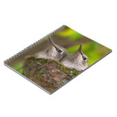 ベビーハミングバード ノートブック (左側)