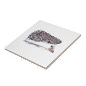 ベビーハリネズミ素朴なヴィンテージキッチンウッドランド タイル (側面)