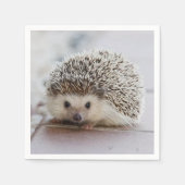 ベビーハリネズミ スタンダードカクテルナプキン (正面)