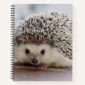 ベビーハリネズミ ノートブック (正面)
